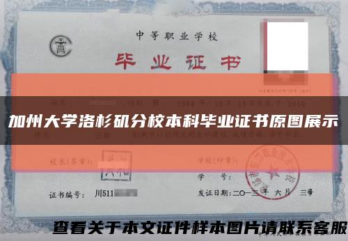 加州大学洛杉矶分校本科毕业证书原图展示缩略图