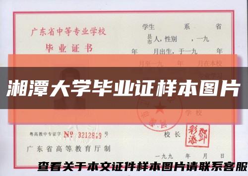 湘潭大学毕业证样本图片缩略图