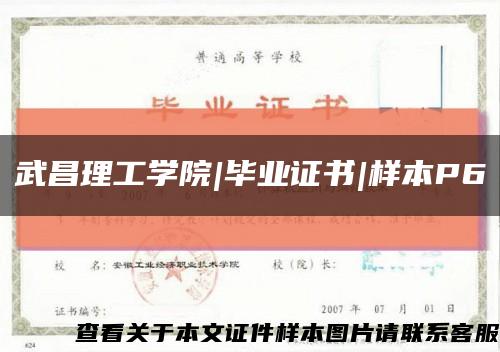 武昌理工学院|毕业证书|样本P6缩略图