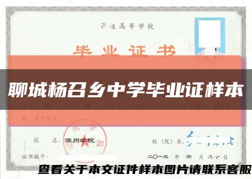 聊城杨召乡中学毕业证样本缩略图