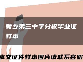 新乡第三中学分校毕业证样本缩略图