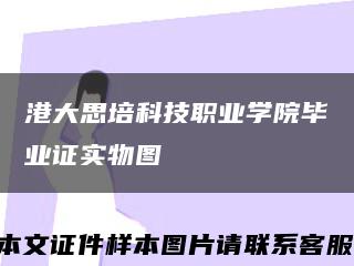 港大思培科技职业学院毕业证实物图缩略图