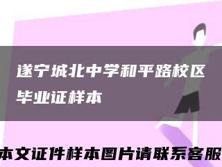 遂宁城北中学和平路校区毕业证样本缩略图