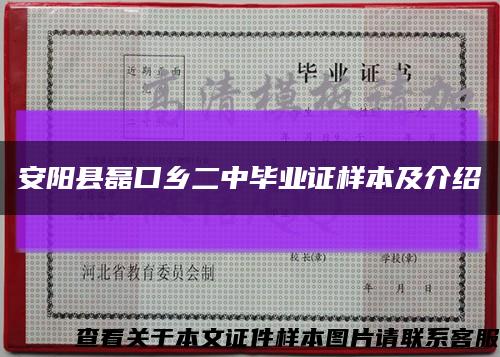 安阳县磊口乡二中毕业证样本及介绍缩略图