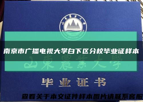 南京市广播电视大学白下区分校毕业证样本缩略图