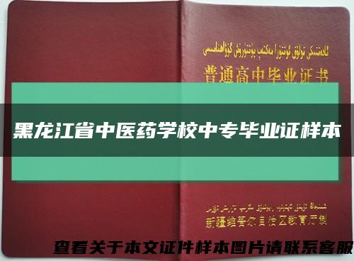 黑龙江省中医药学校中专毕业证样本缩略图