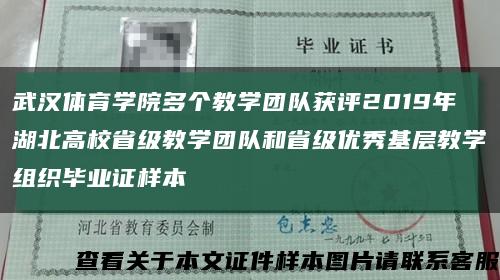 武汉体育学院多个教学团队获评2019年湖北高校省级教学团队和省级优秀基层教学组织毕业证样本缩略图