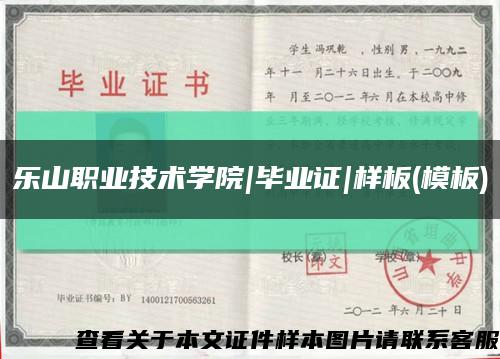 乐山职业技术学院|毕业证|样板(模板)缩略图