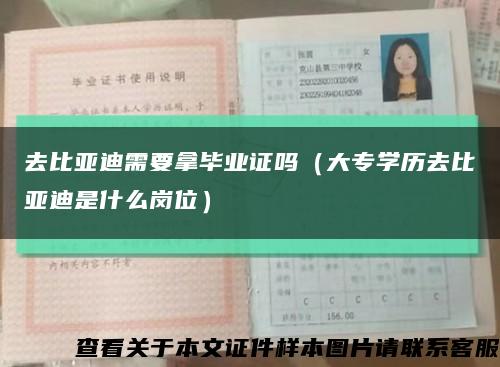 去比亚迪需要拿毕业证吗（大专学历去比亚迪是什么岗位）缩略图