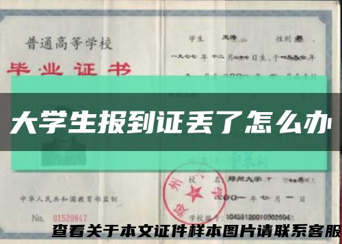 大学生报到证丢了怎么办缩略图