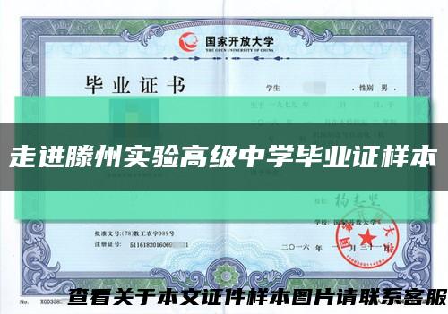 走进滕州实验高级中学毕业证样本缩略图
