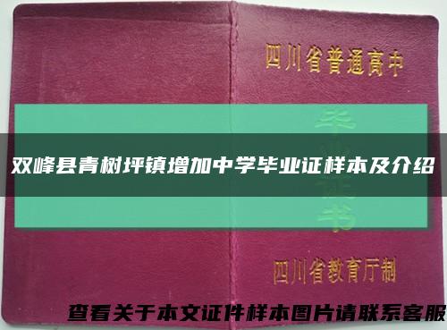 双峰县青树坪镇增加中学毕业证样本及介绍缩略图