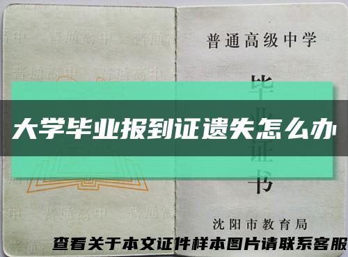大学毕业报到证遗失怎么办缩略图