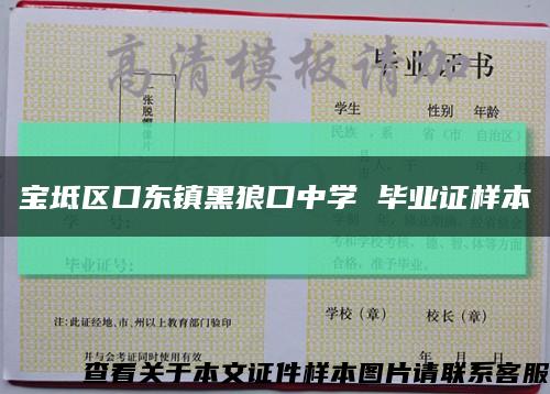 宝坻区口东镇黑狼口中学 毕业证样本缩略图