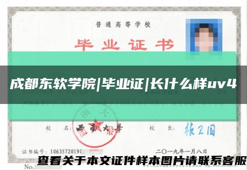 成都东软学院|毕业证|长什么样uv4缩略图
