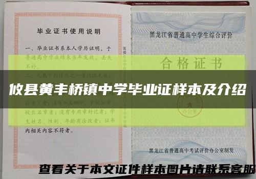 攸县黄丰桥镇中学毕业证样本及介绍缩略图
