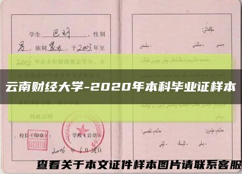 云南财经大学-2020年本科毕业证样本缩略图