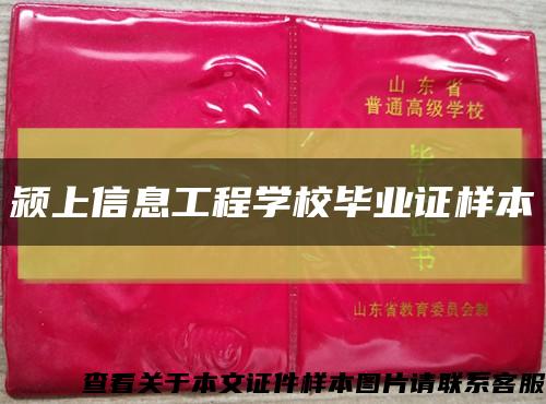 颍上信息工程学校毕业证样本缩略图