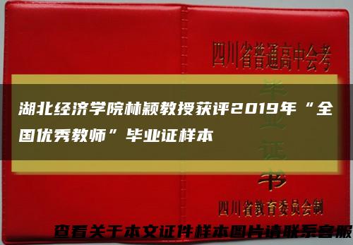 湖北经济学院林颖教授获评2019年“全国优秀教师”毕业证样本缩略图