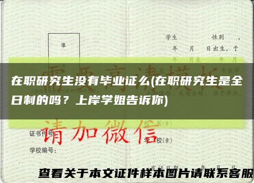 在职研究生没有毕业证么(在职研究生是全日制的吗？上岸学姐告诉你)缩略图