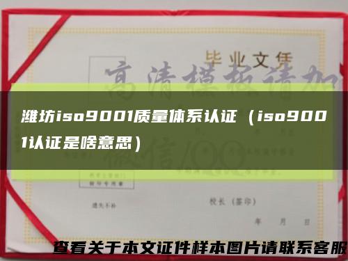潍坊iso9001质量体系认证（iso9001认证是啥意思）缩略图