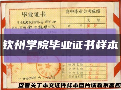 钦州学院毕业证书样本缩略图