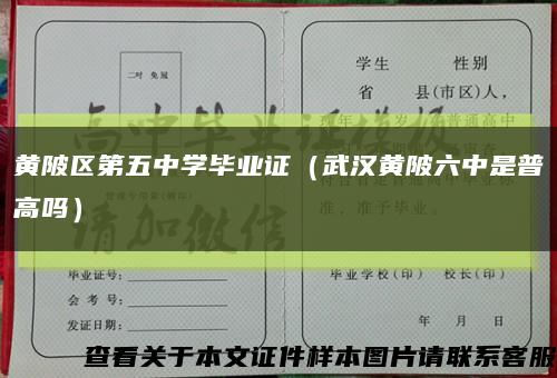 黄陂区第五中学毕业证（武汉黄陂六中是普高吗）缩略图