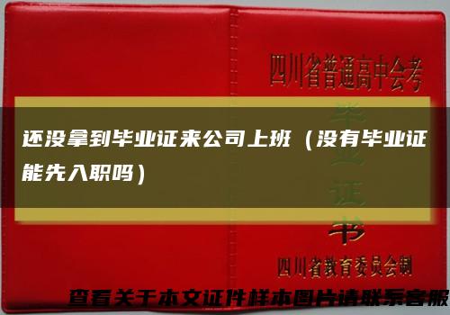 还没拿到毕业证来公司上班（没有毕业证能先入职吗）缩略图