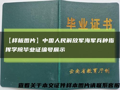 【样板图片】中国人民解放军海军兵种指挥学院毕业证编号展示缩略图