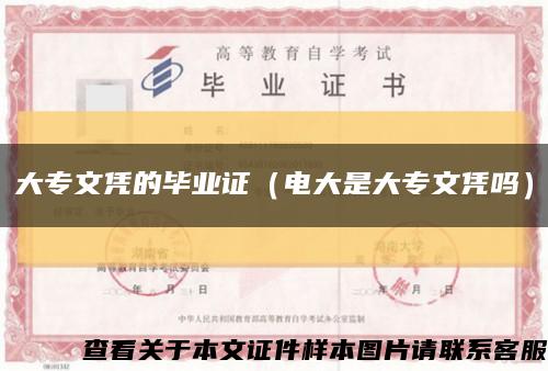 大专文凭的毕业证（电大是大专文凭吗）缩略图