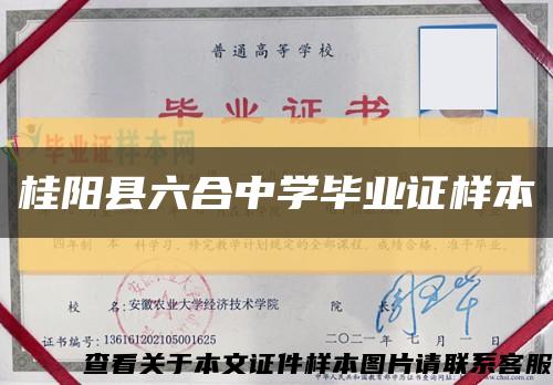 桂阳县六合中学毕业证样本缩略图