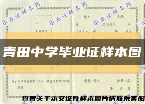 青田中学毕业证样本图缩略图