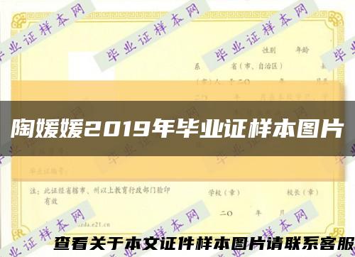 陶媛媛2019年毕业证样本图片缩略图
