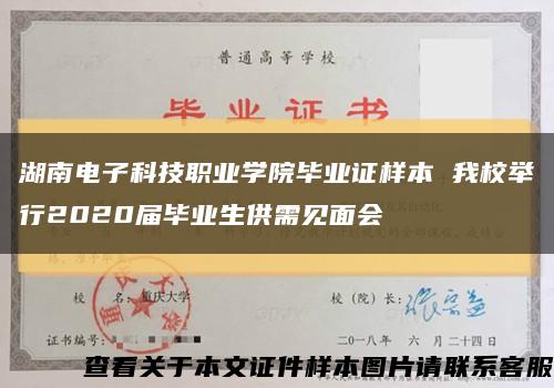 湖南电子科技职业学院毕业证样本 我校举行2020届毕业生供需见面会缩略图