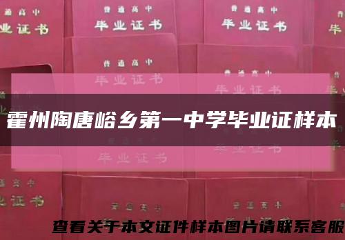 霍州陶唐峪乡第一中学毕业证样本缩略图