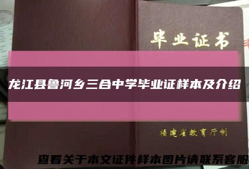 龙江县鲁河乡三合中学毕业证样本及介绍缩略图
