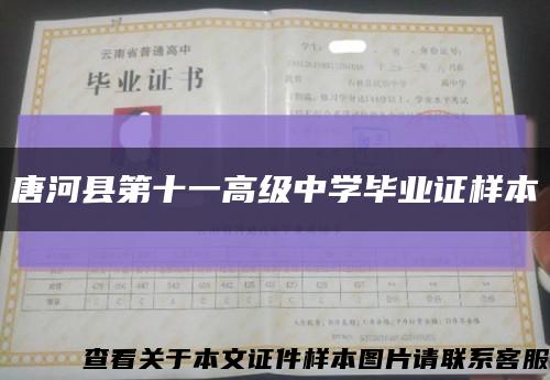 唐河县第十一高级中学毕业证样本缩略图