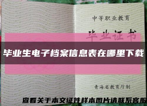 毕业生电子档案信息表在哪里下载缩略图
