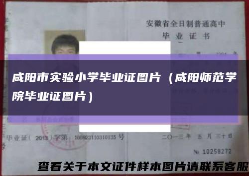 咸阳市实验小学毕业证图片（咸阳师范学院毕业证图片）缩略图