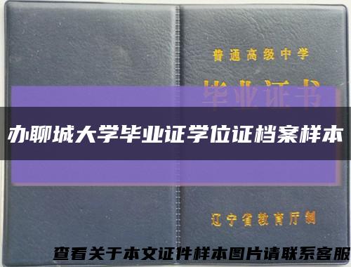 办聊城大学毕业证学位证档案样本缩略图