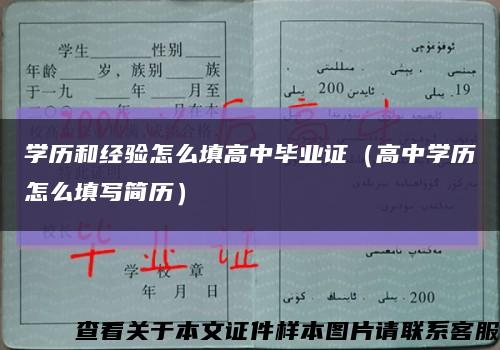 学历和经验怎么填高中毕业证（高中学历怎么填写简历）缩略图