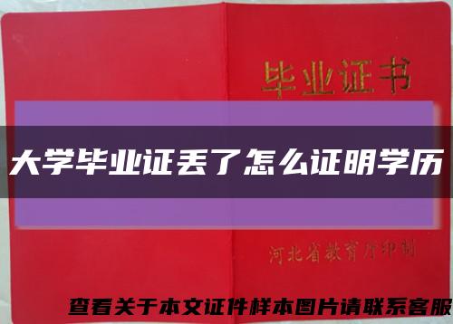 大学毕业证丢了怎么证明学历缩略图