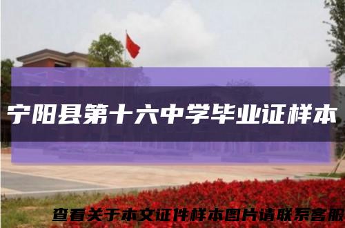 宁阳县第十六中学毕业证样本缩略图