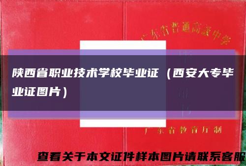 陕西省职业技术学校毕业证（西安大专毕业证图片）缩略图