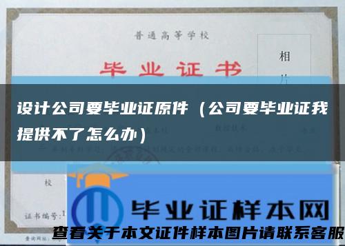 设计公司要毕业证原件（公司要毕业证我提供不了怎么办）缩略图