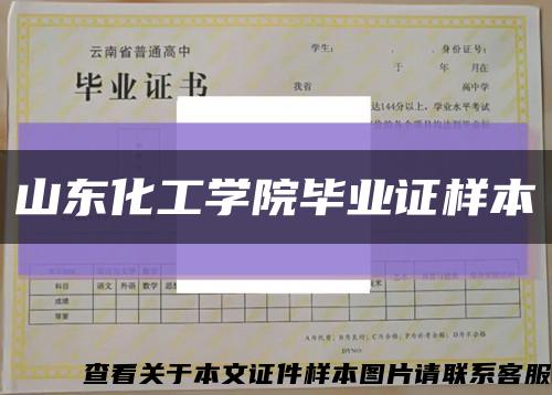 山东化工学院毕业证样本缩略图