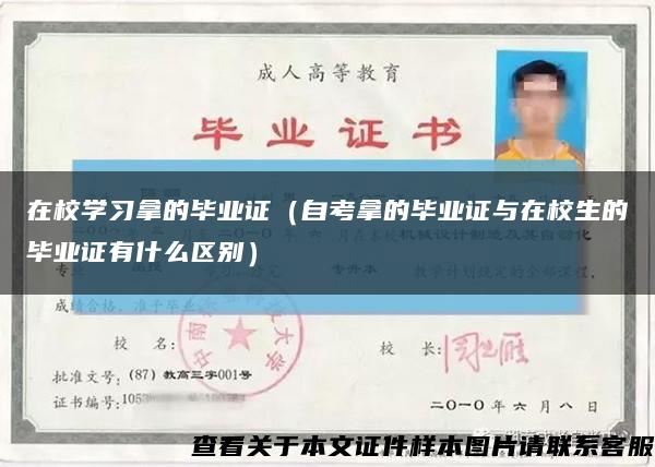 在校学习拿的毕业证（自考拿的毕业证与在校生的毕业证有什么区别）缩略图