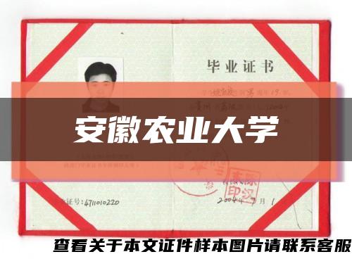 安徽农业大学缩略图