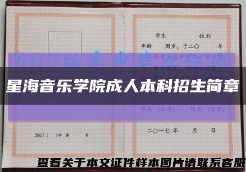 星海音乐学院成人本科招生简章缩略图