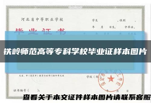 铁岭师范高等专科学校毕业证样本图片缩略图